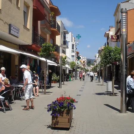 Margarita Auberge de jeunesse